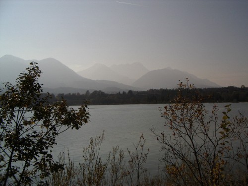 Zeluce 191003 006.jpg